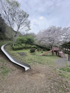 【近隣お花見情報】お子様連れにおすすめの「ゆうゆうらんど」